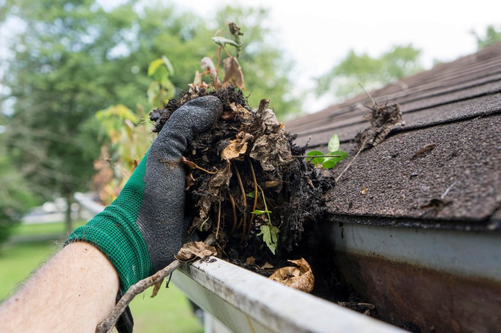 Hand with glove cleaning house gutter from leaves and needles